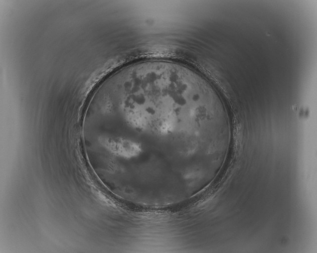 X0000112350721200908201439