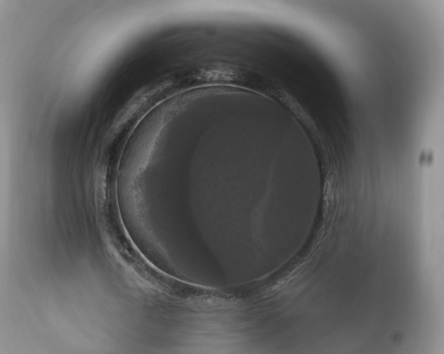 X0000112350722200908201439