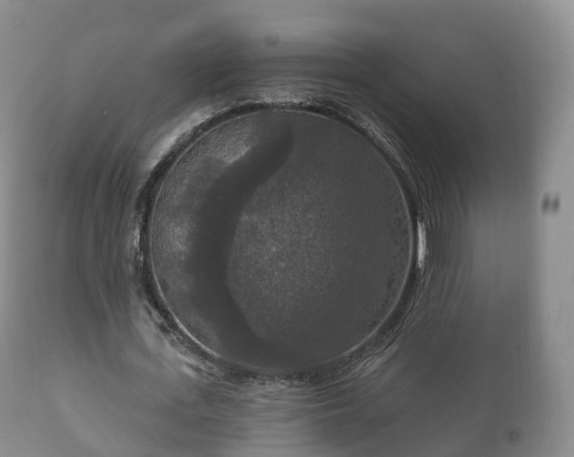 X0000112350723200908201439