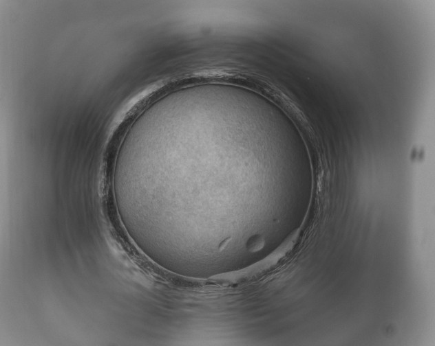 X0000112350724200908201439