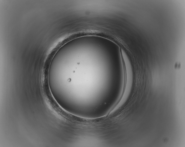 X0000112350726200908201439