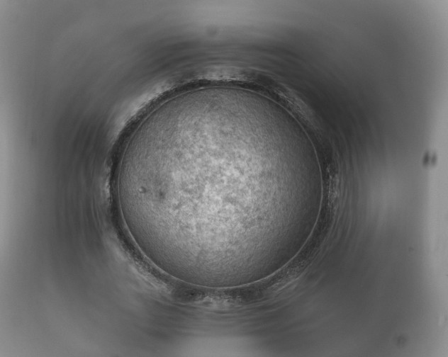 X0000112350727200908201439
