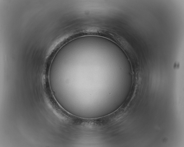 X0000112350728200908201439
