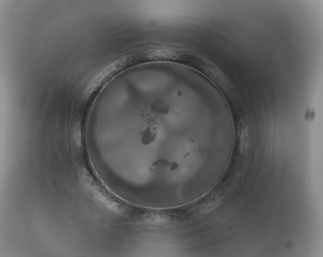 X0000112350729200908201439
