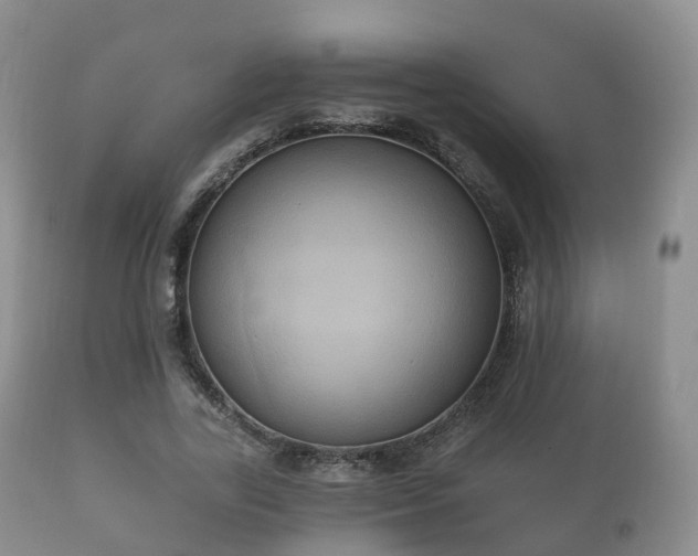 X0000112350731200908201439