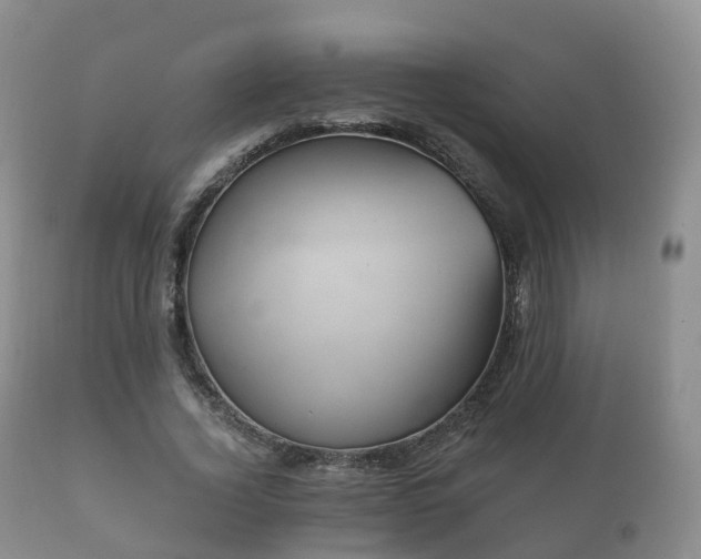 X0000112350732200908201439