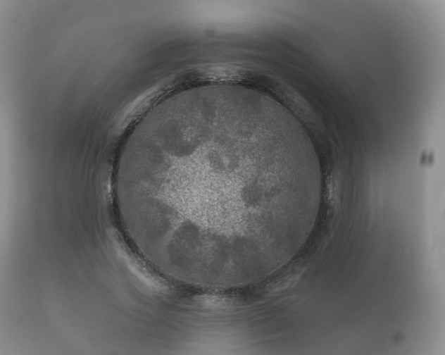 X0000112350733200908201439