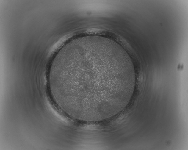 X0000112350734200908201439