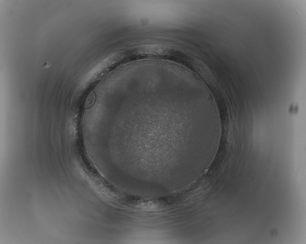 X0000112350735200908201439