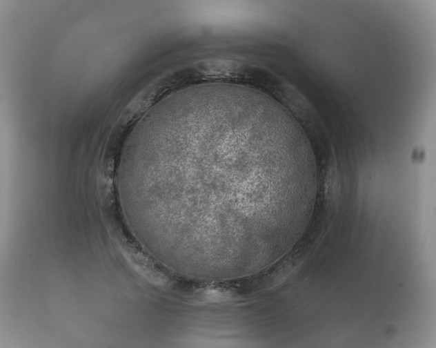 X0000112350737200908201439