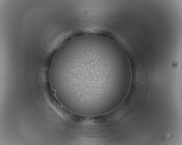 X0000112350738200908201439