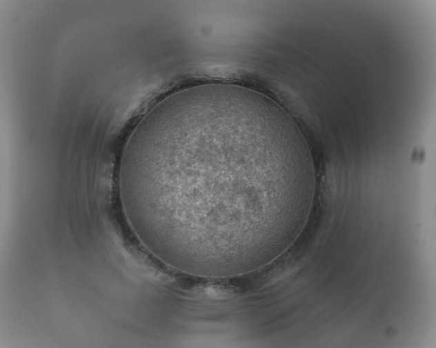 X0000112350739200908201439