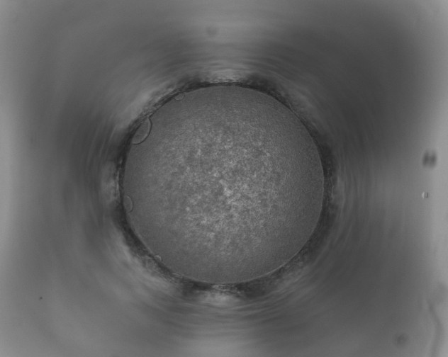 X0000112350743200908201439
