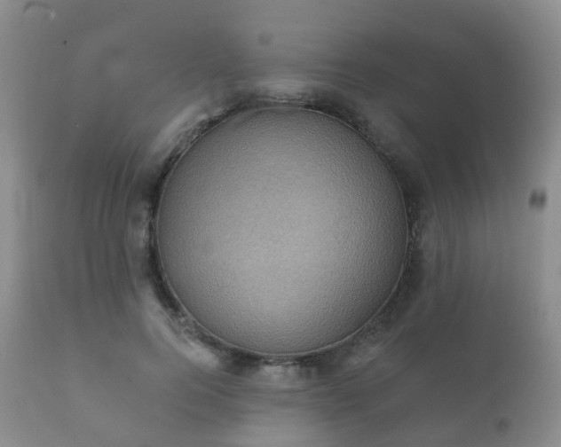 X0000112350744200908201439