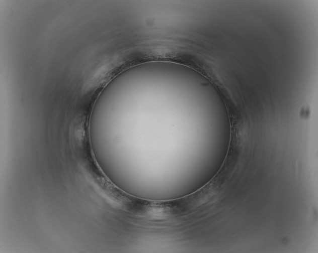X0000112350746200908201439