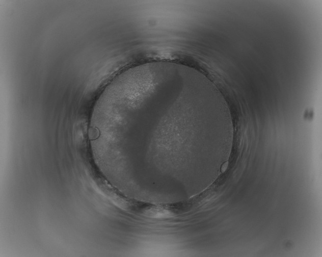 X0000112350747200908201439