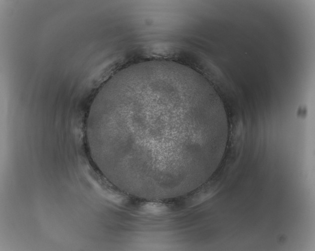X0000112350749200908201439