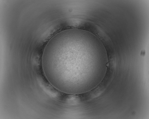 X0000112350750200908201439
