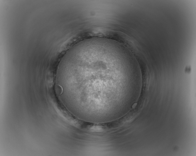 X0000112350751200908201439