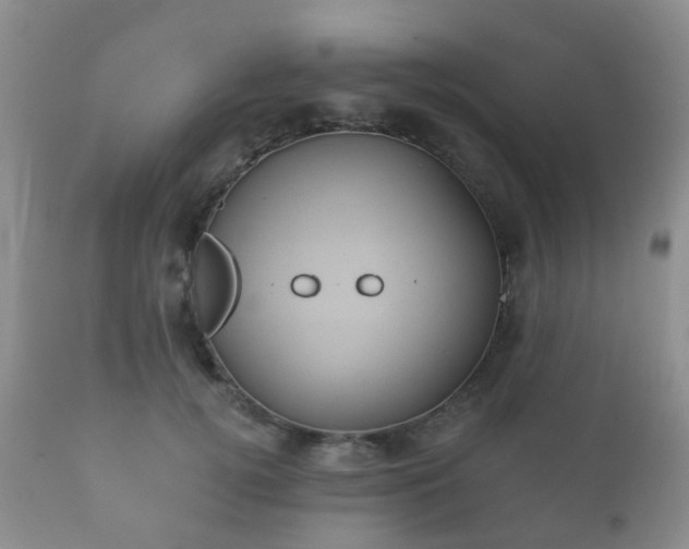 X0000112350752200908201439