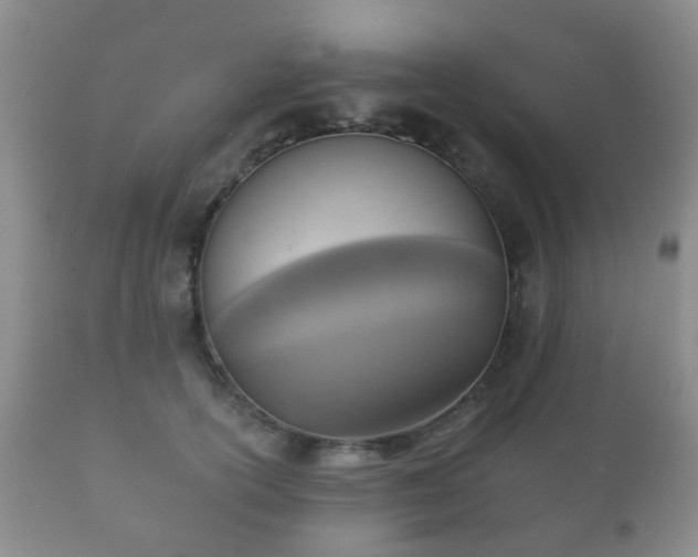 X0000112350754200908201439
