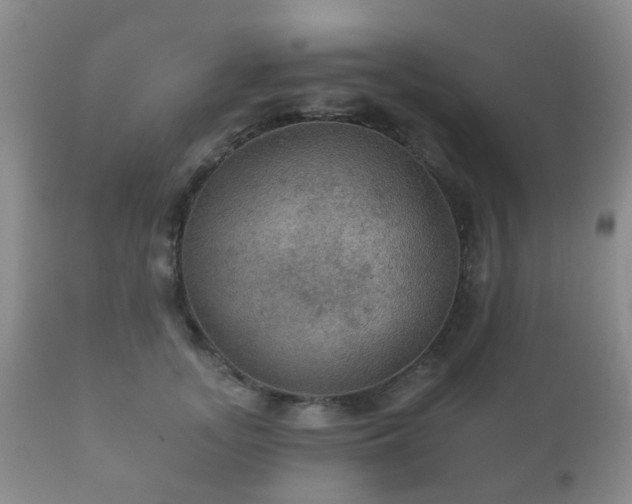 X0000112350755200908201439