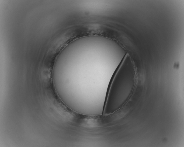 X0000112350756200908201439