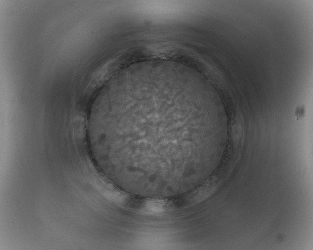 X0000112350757200908201439