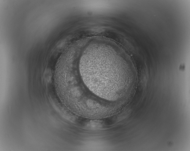 X0000112350758200908201439