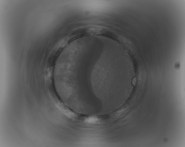 X0000112350759200908201439