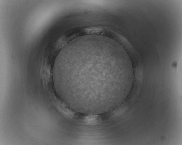 X0000112350761200908201439