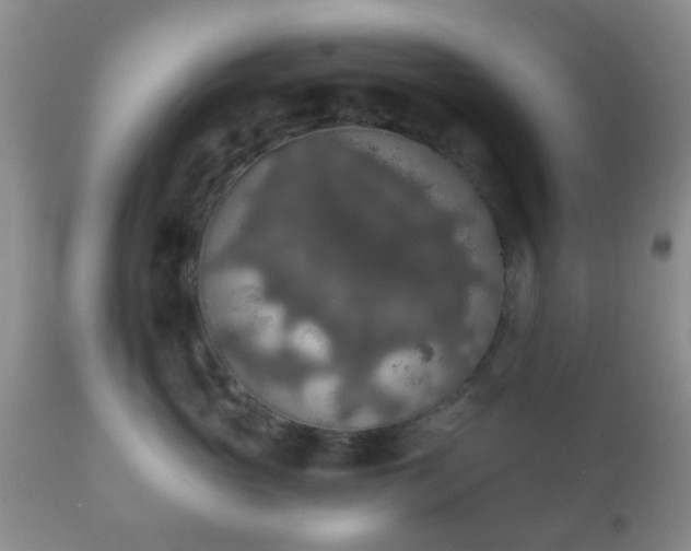 X0000112350765200908201439