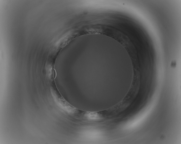 X0000112350767200908201439