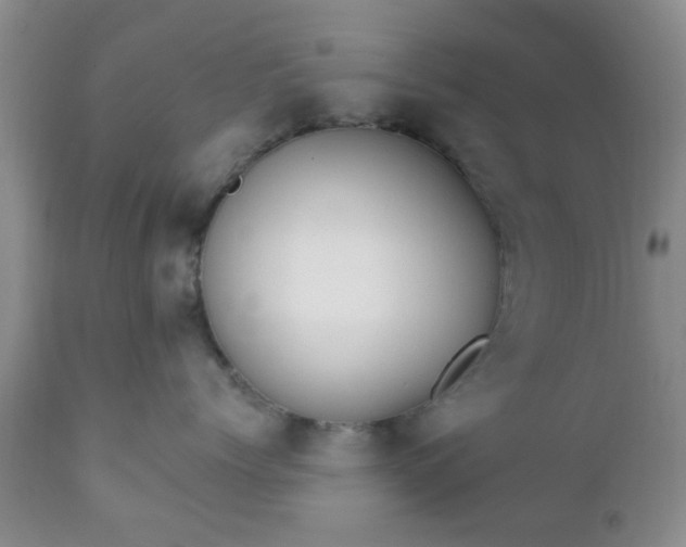 X0000112350768200908201439