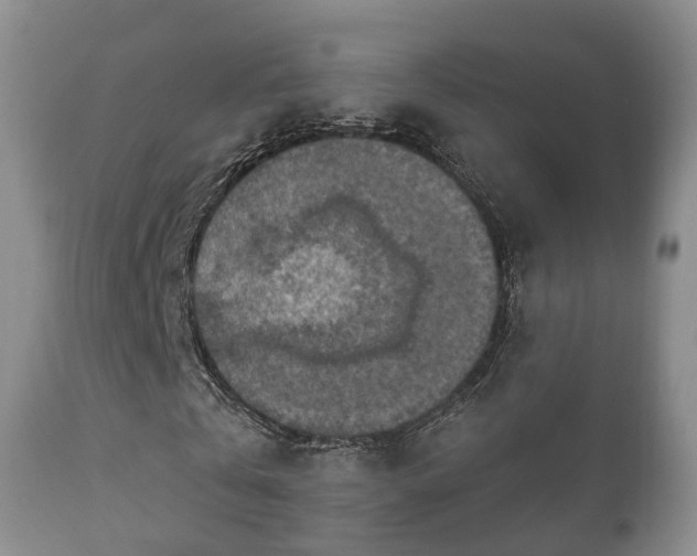 X0000112350769200908201439