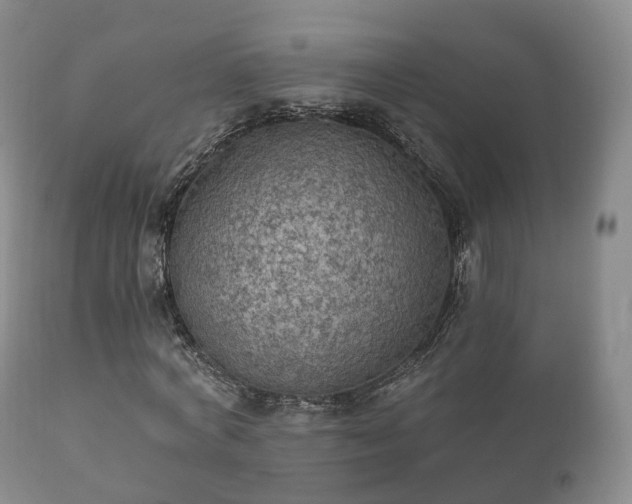 X0000112350772200908201439