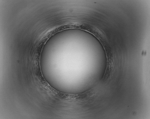 X0000112350773200908201439