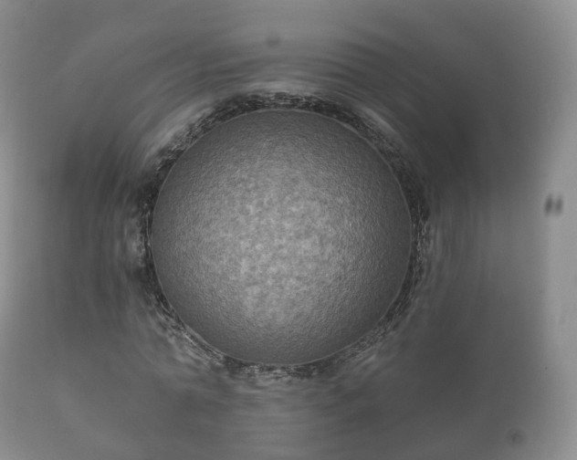 X0000112350774200908201439