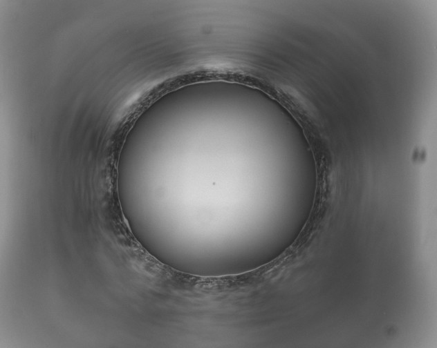 X0000112350776200908201438