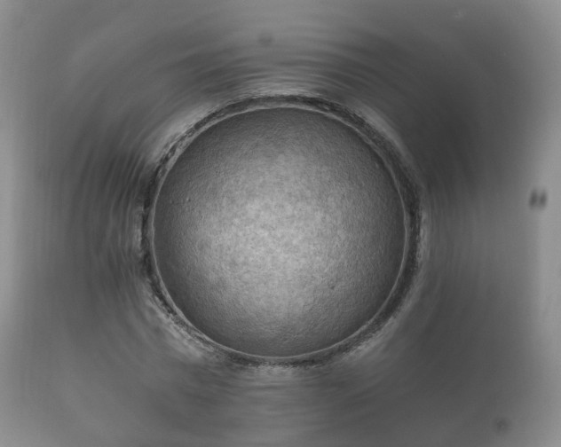 X0000112350777200908201438
