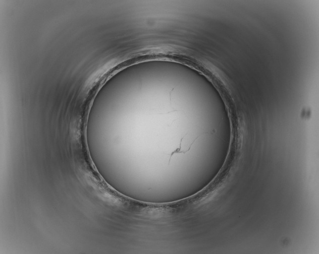 X0000112350778200908201438