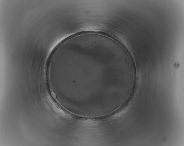 X0000112350779200908201438