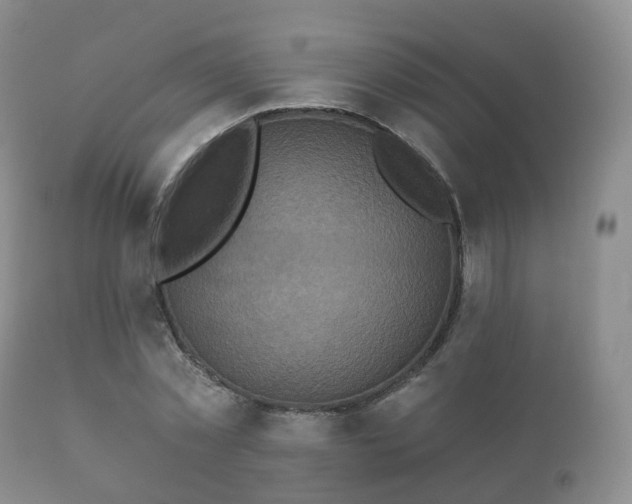 X0000112350781200908201438