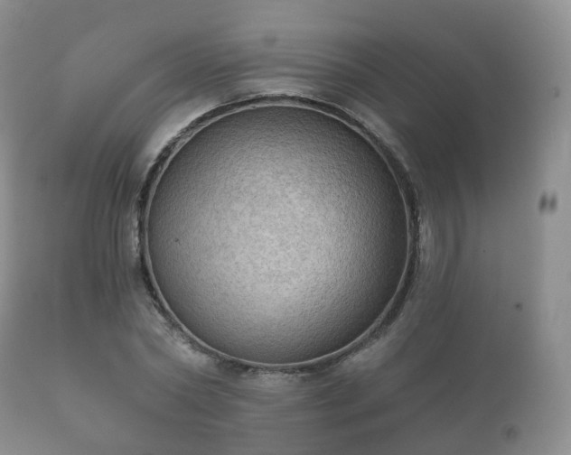 X0000112350782200908201438