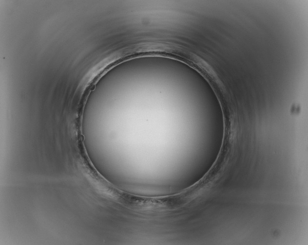 X0000112350786200908201438