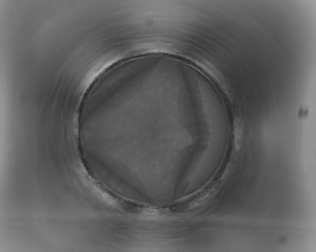 X0000112350790200908201438