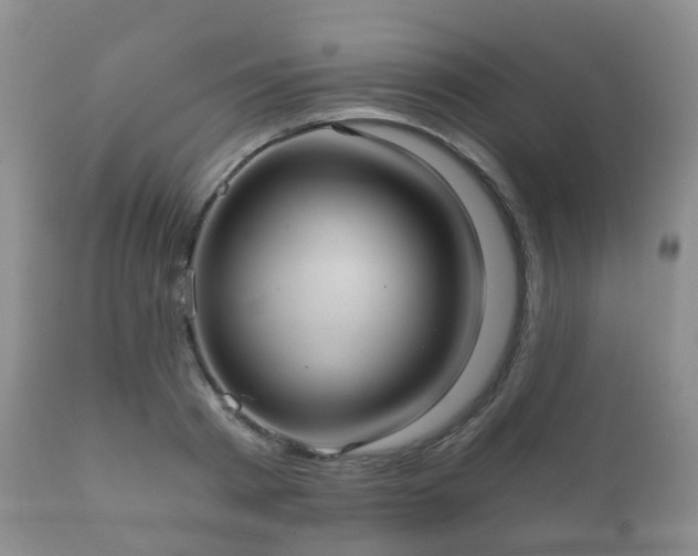 X0000112350793200908201438