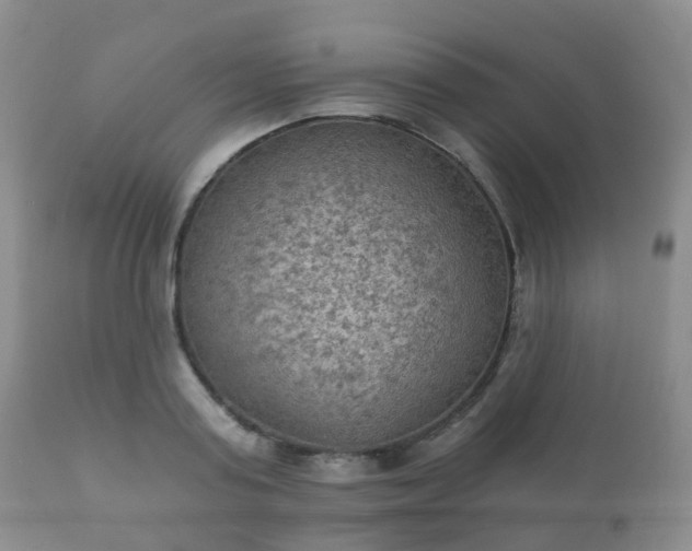 X0000112350795200908201438