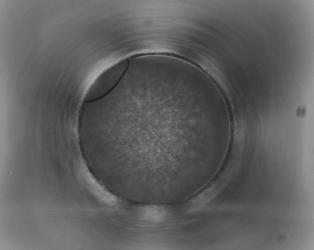 X0000112350797200908201438
