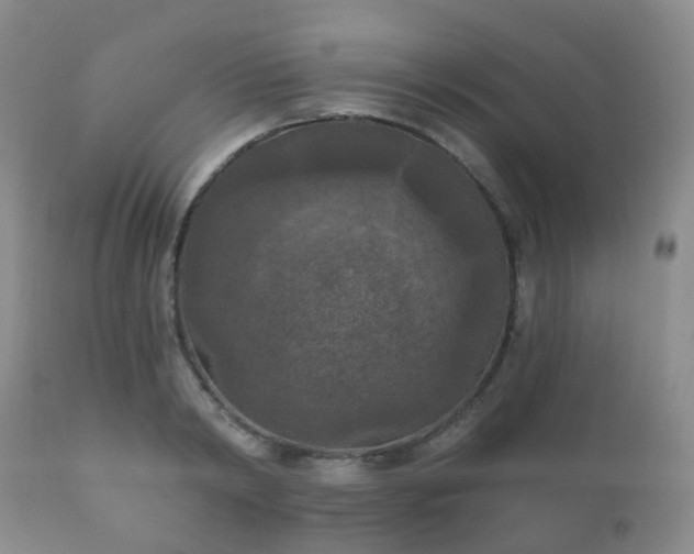X0000112350798200908201438